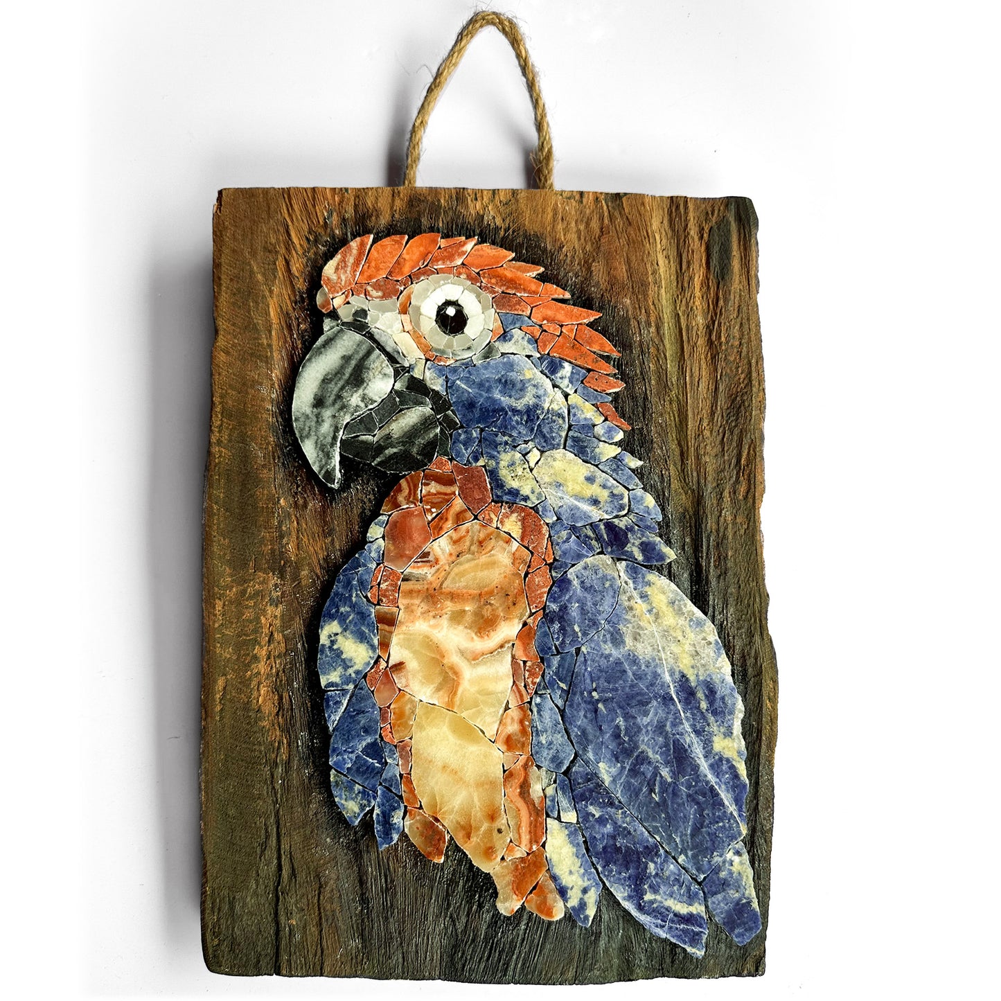 Parrot Mosaic on Wood Board as Arty Decor