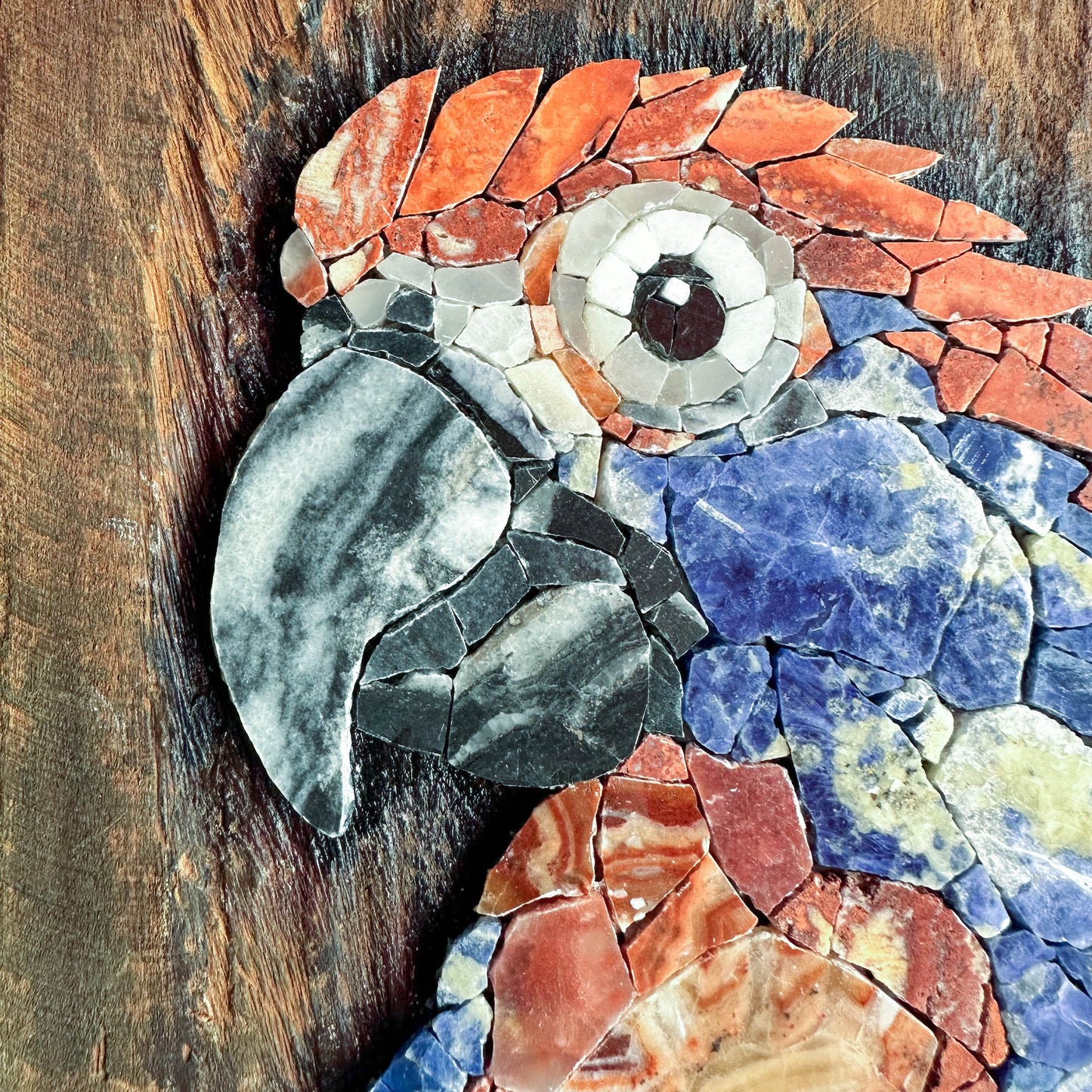 Parrot Mosaic on Wood Board as Arty Decor
